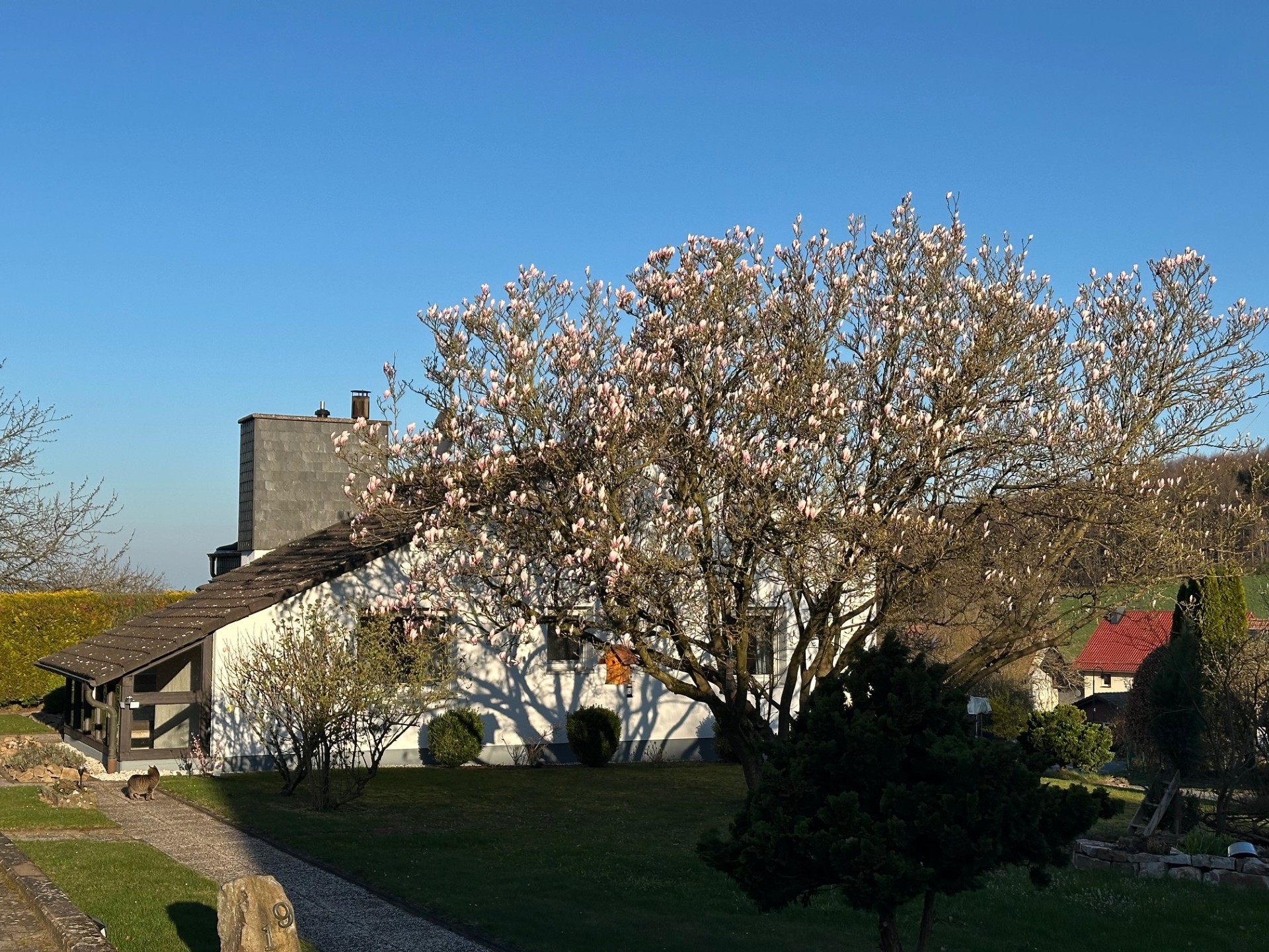 Außenbereich 6
